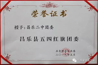 271教育結(jié)碩果，昌樂(lè)二中共青團(tuán)工作獲多項(xiàng)榮譽(yù)
